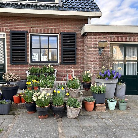 Flowerbed Voorhout Bagian luar foto
