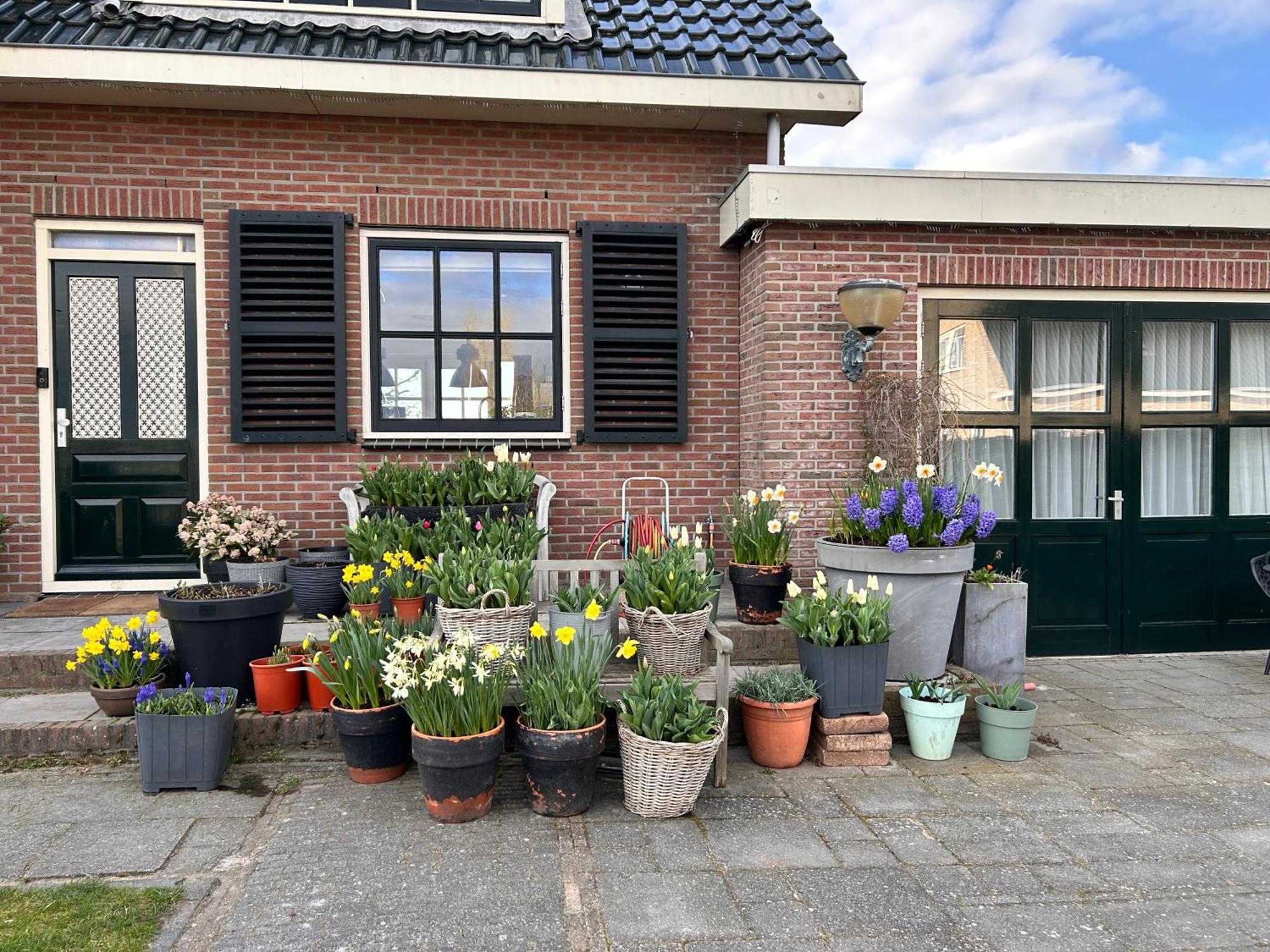 Flowerbed Voorhout Bagian luar foto
